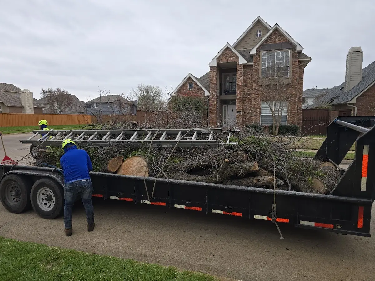 Expert Lot Clearing with proper safety equipment in Red Oak